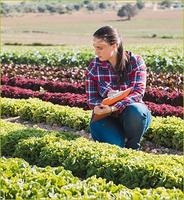 Woman in field of vegetables