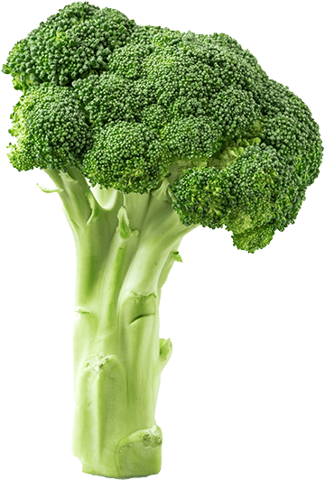 Broccoli